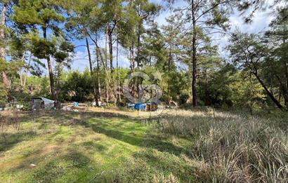 ANTALYA – Serik – Akçapınar | Dere & Orman Temaslı Özel Yaşam Parseli