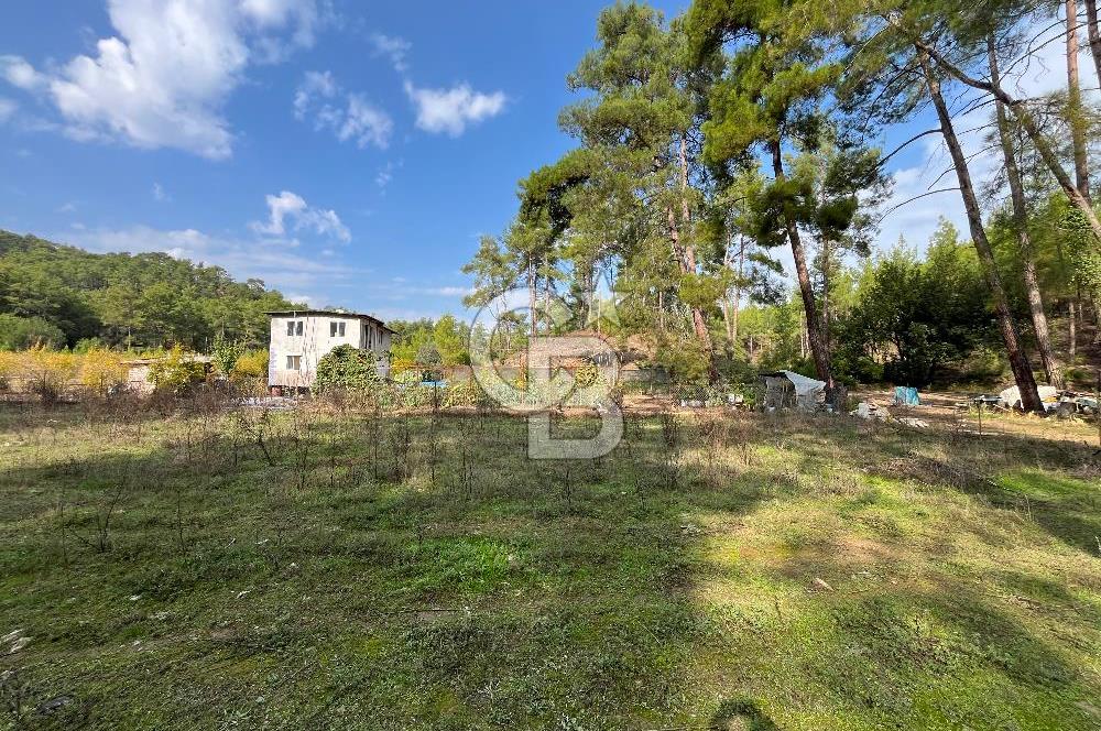 ANTALYA – Serik – Akçapınar | Dere & Orman Temaslı Özel Yaşam Parseli