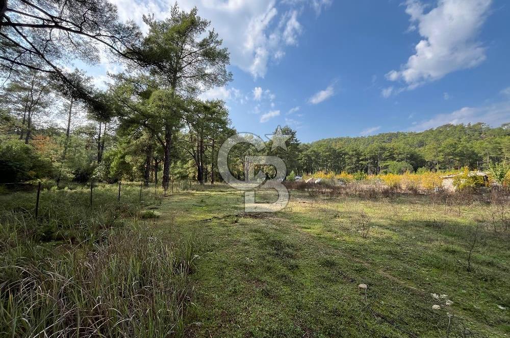 ANTALYA – Serik – Akçapınar | Dere & Orman Temaslı Özel Yaşam Parseli