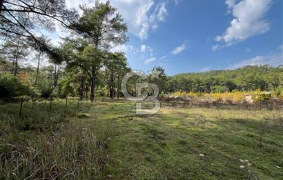 ANTALYA – Serik – Akçapınar | Dere & Orman Temaslı Özel Yaşam Parseli