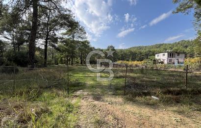 ANTALYA – Serik – Akçapınar | Dere & Orman Temaslı Özel Yaşam Parseli