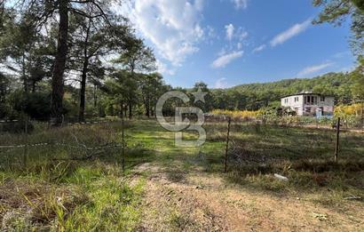 ANTALYA – Serik – Akçapınar | Dere & Orman Temaslı Özel Yaşam Parseli