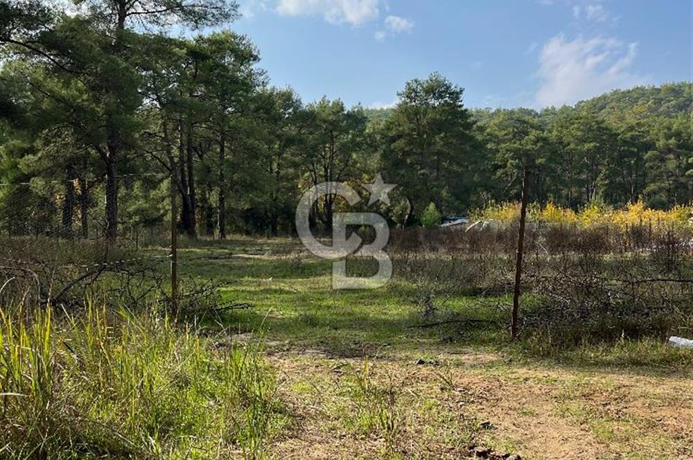 ANTALYA – Serik – Akçapınar | Dere & Orman Temaslı Özel Yaşam Parseli