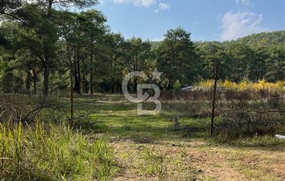 ANTALYA – Serik – Akçapınar | Dere & Orman Temaslı Özel Yaşam Parseli