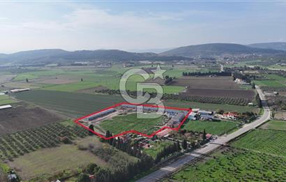 Foça Ilıpınar Köyü’nde, Anayol Üzerinde kooperatif hisseli daireler