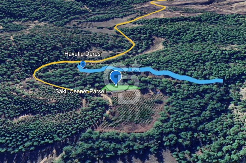 ANTALYA – Serik – Akçapınar | Dere & Orman Temaslı Özel Yaşam Parseli