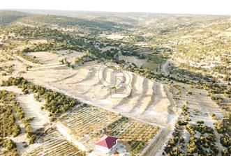 MERSİN / SİLİFKE / ÇALTIBOZKIR MAHALLESİNDE İMARLI ARSA - 5 - 320881