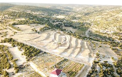 MERSİN / SİLİFKE / ÇALTIBOZKIR MAHALLESİNDE İMARLI ARSA