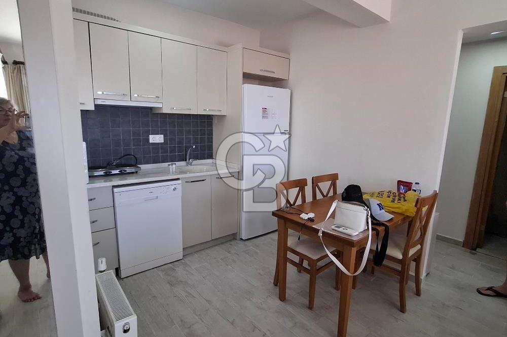 DİKİLİ  BADEMLİ HAYITLI KOYU VE TATİL KÖYÜ DİKİLİ /İZMİR