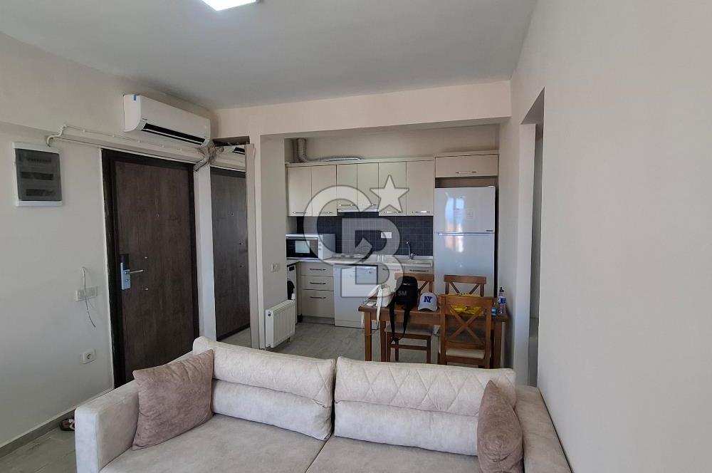 DİKİLİ  BADEMLİ HAYITLI KOYU VE TATİL KÖYÜ DİKİLİ /İZMİR