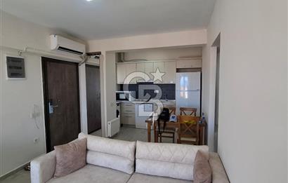 DİKİLİ  BADEMLİ HAYITLI KOYU VE TATİL KÖYÜ DİKİLİ /İZMİR