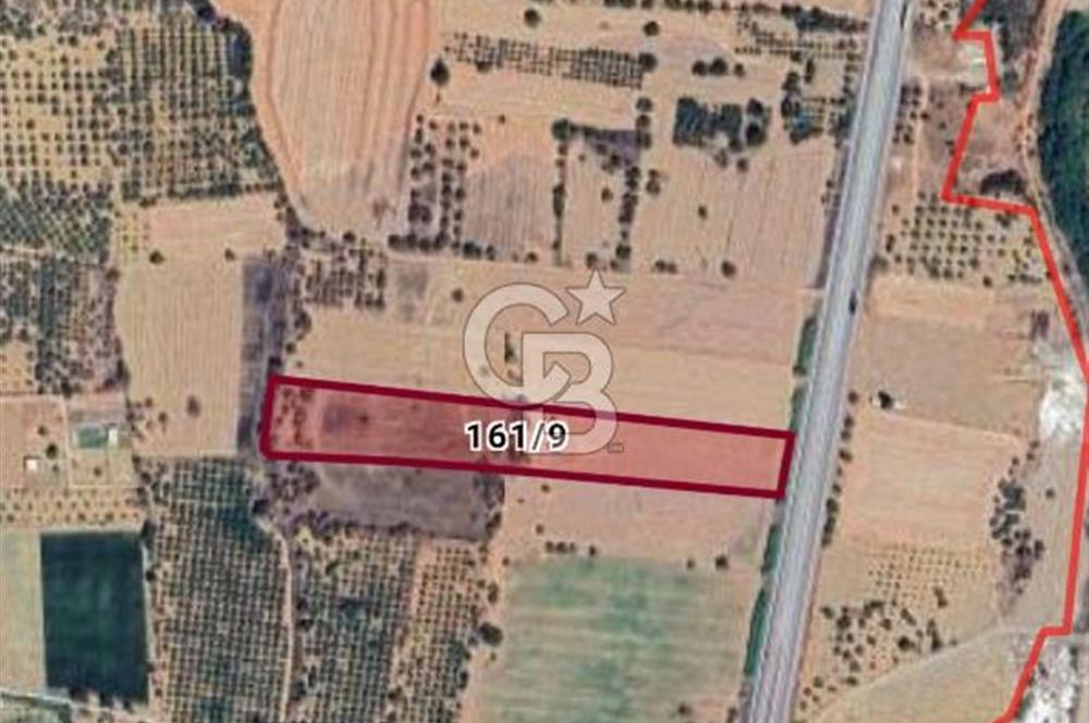 Kemalpaşa - Torbalı yolu üzerinde Anayola cepheli 15 Dönüm Muhteşem konumu olan arazimiz