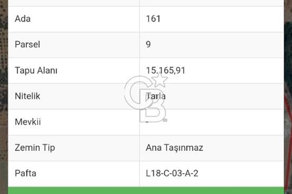 Kemalpaşa - Torbalı yolu üzerinde Anayola cepheli 15 Dönüm Muhteşem konumu olan arazimiz