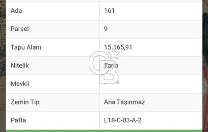 Kemalpaşa - Torbalı yolu üzerinde Anayola cepheli 15 Dönüm Muhteşem konumu olan arazimiz