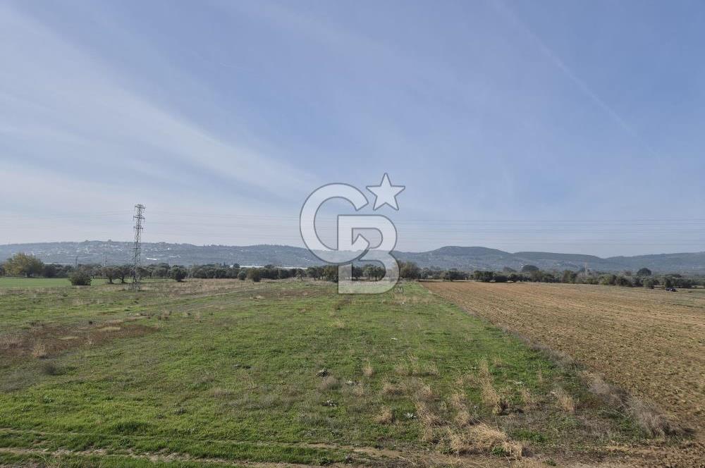 Kemalpaşa - Torbalı yolu üzerinde Anayola cepheli 15 Dönüm Muhteşem konumu olan arazimiz