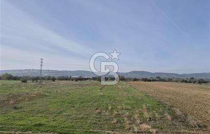 Kemalpaşa - Torbalı yolu üzerinde Anayola cepheli 15 Dönüm Muhteşem konumu olan arazimiz