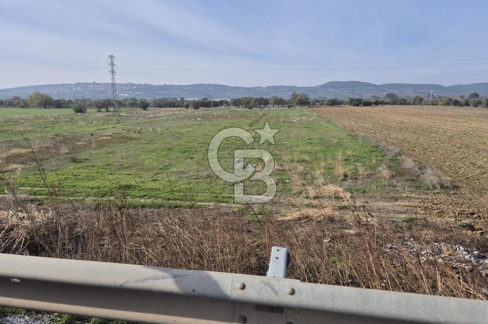 Kemalpaşa - Torbalı yolu üzerinde Anayola cepheli 15 Dönüm Muhteşem konumu olan arazimiz