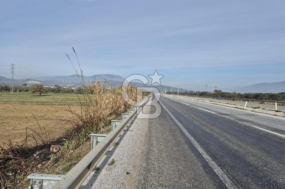Kemalpaşa - Torbalı yolu üzerinde Anayola cepheli 15 Dönüm Muhteşem konumu olan arazimiz