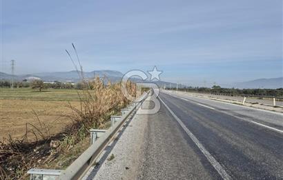 Kemalpaşa - Torbalı yolu üzerinde Anayola cepheli 15 Dönüm Muhteşem konumu olan arazimiz