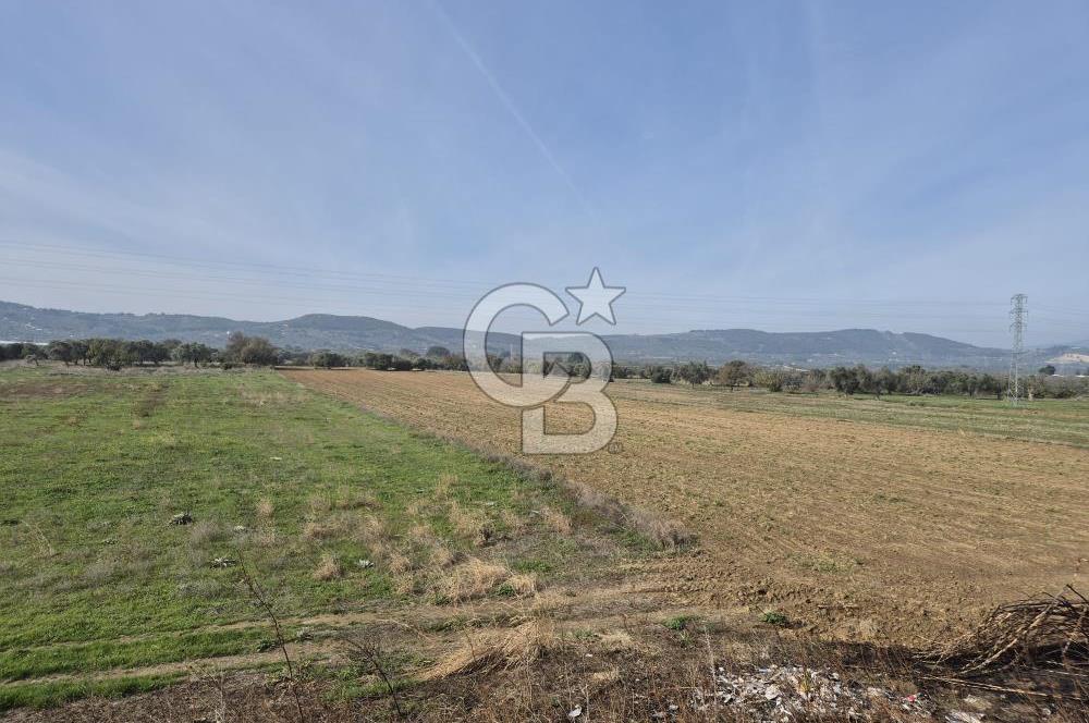 Kemalpaşa - Torbalı yolu üzerinde Anayola cepheli 15 Dönüm Muhteşem konumu olan arazimiz