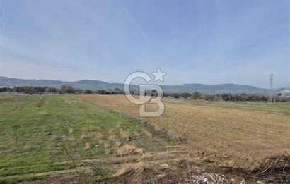 Kemalpaşa - Torbalı yolu üzerinde Anayola cepheli 15 Dönüm Muhteşem konumu olan arazimiz