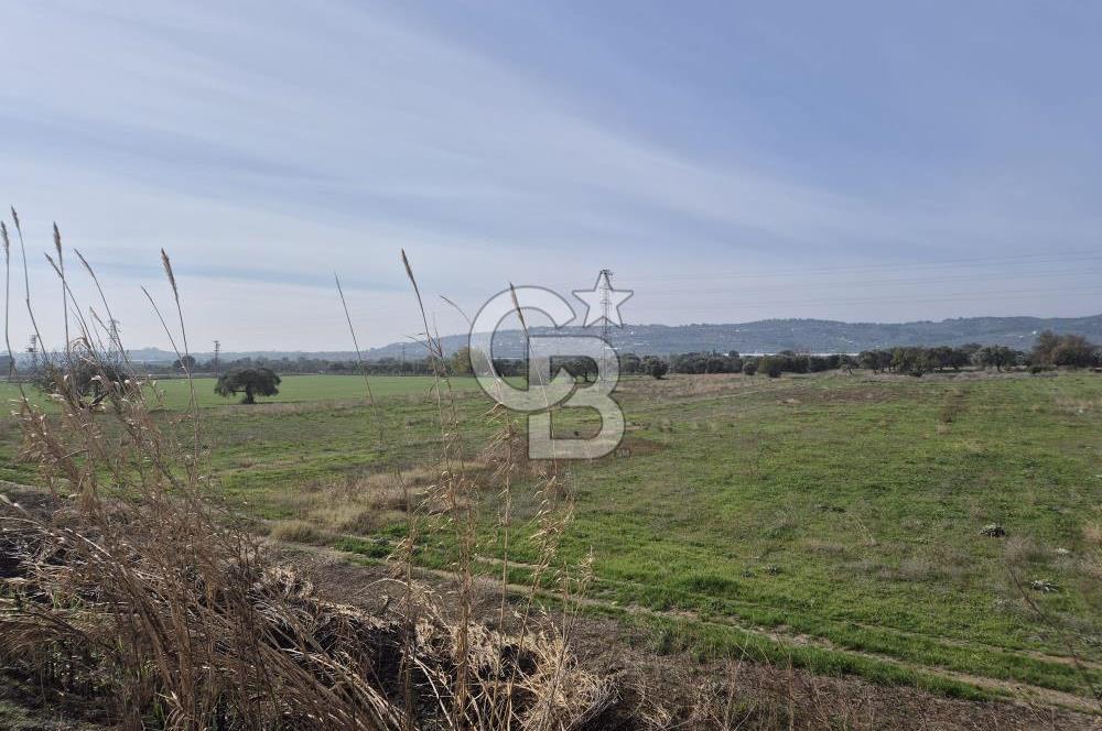 Kemalpaşa - Torbalı yolu üzerinde Anayola cepheli 15 Dönüm Muhteşem konumu olan arazimiz