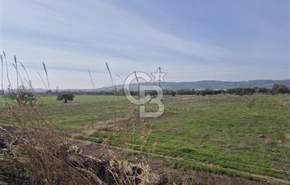 Kemalpaşa - Torbalı yolu üzerinde Anayola cepheli 15 Dönüm Muhteşem konumu olan arazimiz