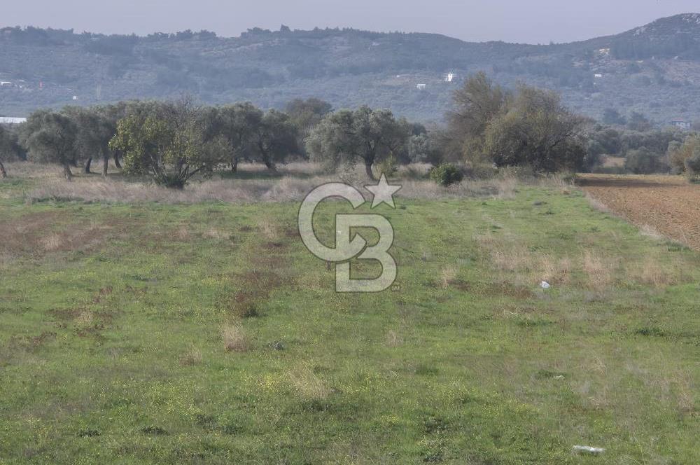 Kemalpaşa - Torbalı yolu üzerinde Anayola cepheli 15 Dönüm Muhteşem konumu olan arazimiz