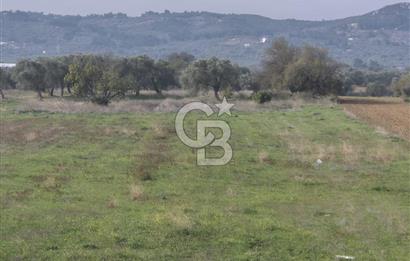 Kemalpaşa - Torbalı yolu üzerinde Anayola cepheli 15 Dönüm Muhteşem konumu olan arazimiz