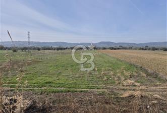 Kemalpaşa - Torbalı yolu üzerinde Anayola cepheli 15 Dönüm Muhteşem konumu olan arazimiz - 10 - 320853