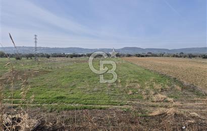 Kemalpaşa - Torbalı yolu üzerinde Anayola cepheli 15 Dönüm Muhteşem konumu olan arazimiz