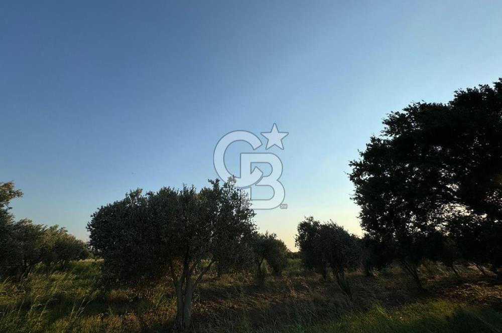 LOKASYONU ÇOK ÖZEL MÜKEMMEL ARAZİMİZİ SATIŞA SUNDUK!