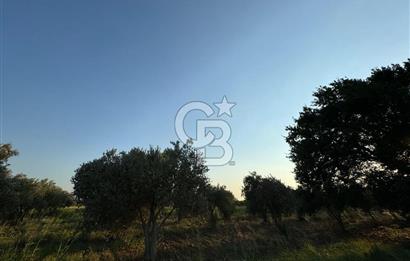 LOKASYONU ÇOK ÖZEL MÜKEMMEL ARAZİMİZİ SATIŞA SUNDUK!