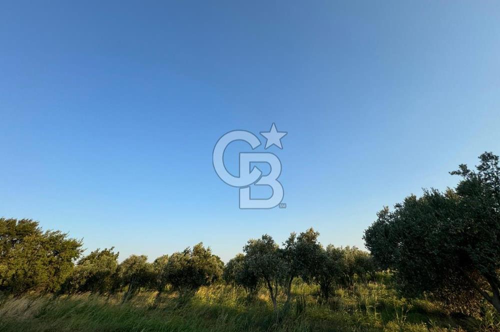 LOKASYONU ÇOK ÖZEL MÜKEMMEL ARAZİMİZİ SATIŞA SUNDUK!