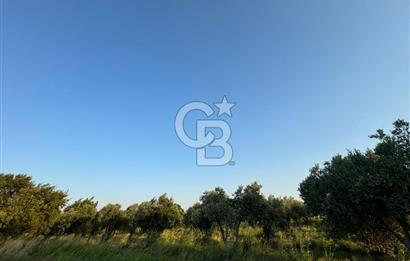 LOKASYONU ÇOK ÖZEL MÜKEMMEL ARAZİMİZİ SATIŞA SUNDUK!