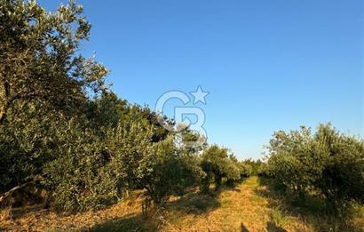 LOKASYONU ÇOK ÖZEL MÜKEMMEL ARAZİMİZİ SATIŞA SUNDUK!