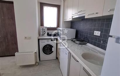 DİKİLİ  BADEMLİ HAYITLI KOYU VE TATİL KÖYÜ DİKİLİ /İZMİR