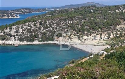 DİKİLİ  BADEMLİ HAYITLI KOYU VE TATİL KÖYÜ DİKİLİ /İZMİR