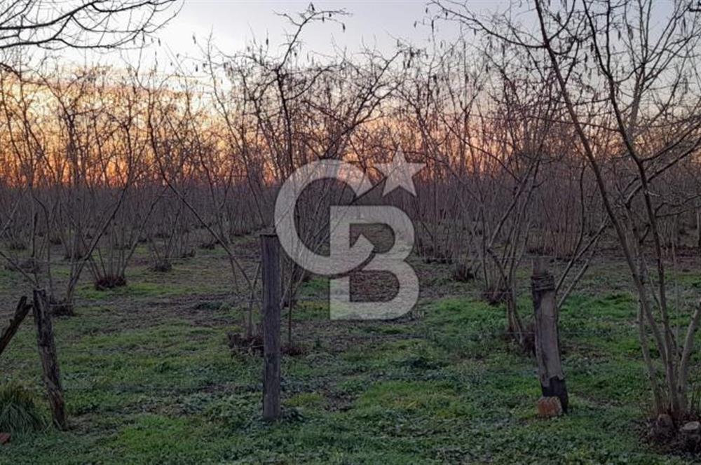 LOKASYONU ÇOK ÖZEL MÜKEMMEL ARAZİMİZİ SATIŞA SUNDUK!