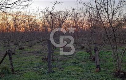 LOKASYONU ÇOK ÖZEL MÜKEMMEL ARAZİMİZİ SATIŞA SUNDUK!