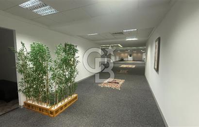 NEO' DAN Süzer Plaza'da Büyük Ekipler için 3000 M2 KDV'li Ofis