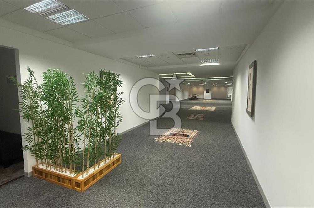 NEO' DAN Süzer Plaza'da Büyük Ekipler için 1400 M2 KDV'li Ofis