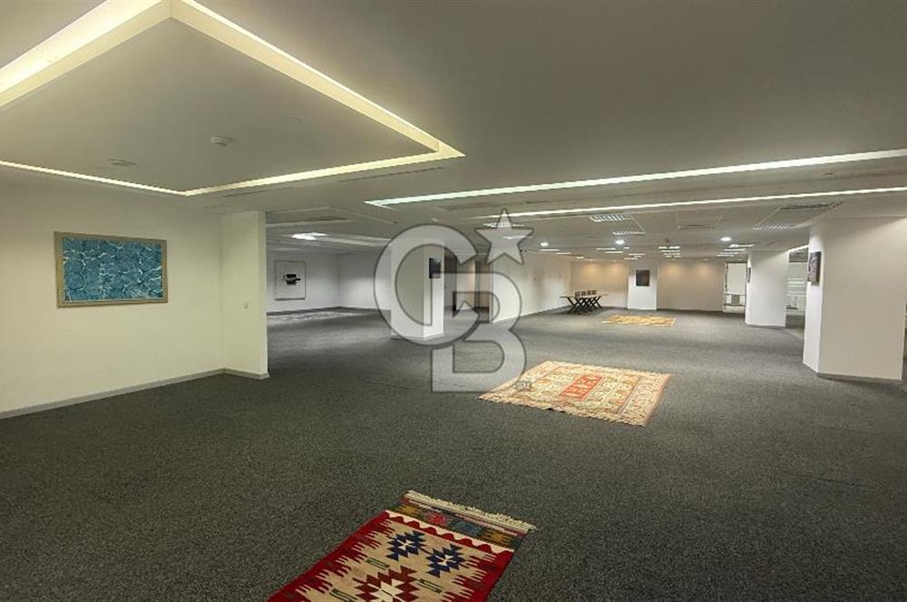 NEO' DAN Süzer Plaza'da Büyük Ekipler için 1400 M2 KDV'li Ofis