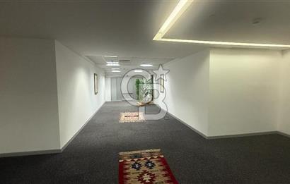 NEO' DAN Süzer Plaza'da Büyük Ekipler için 1400 M2 KDV'li Ofis