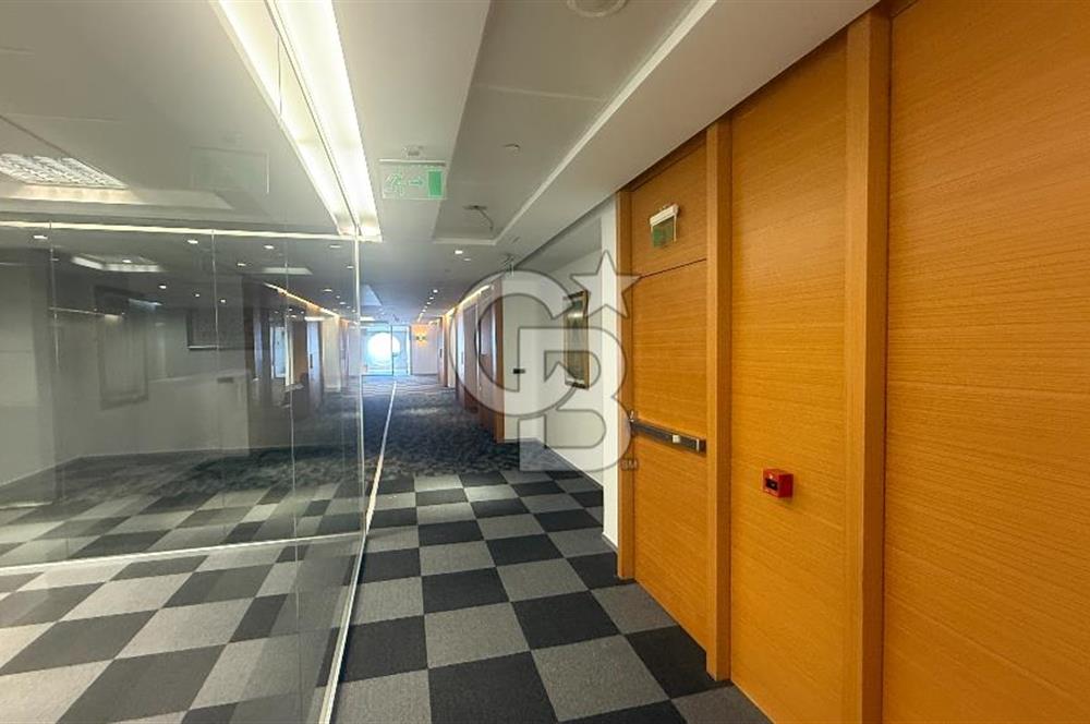 NEO' DAN Süzer Plaza'da Büyük Ekipler için 3000 M2 KDV'li Ofis