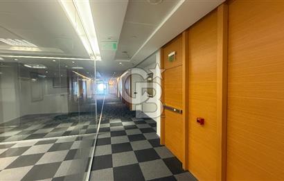 NEO' DAN Süzer Plaza'da Büyük Ekipler için 3000 M2 KDV'li Ofis