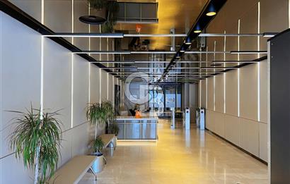 NEO' DAN D PLAZA' DA 675 M2 HAZIR OFİS FIRSATI!