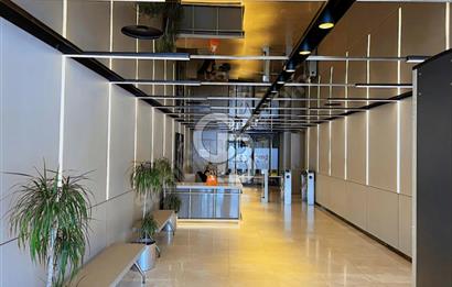 NEO' DAN D PLAZA' DA 675 M2 HAZIR OFİS FIRSATI!