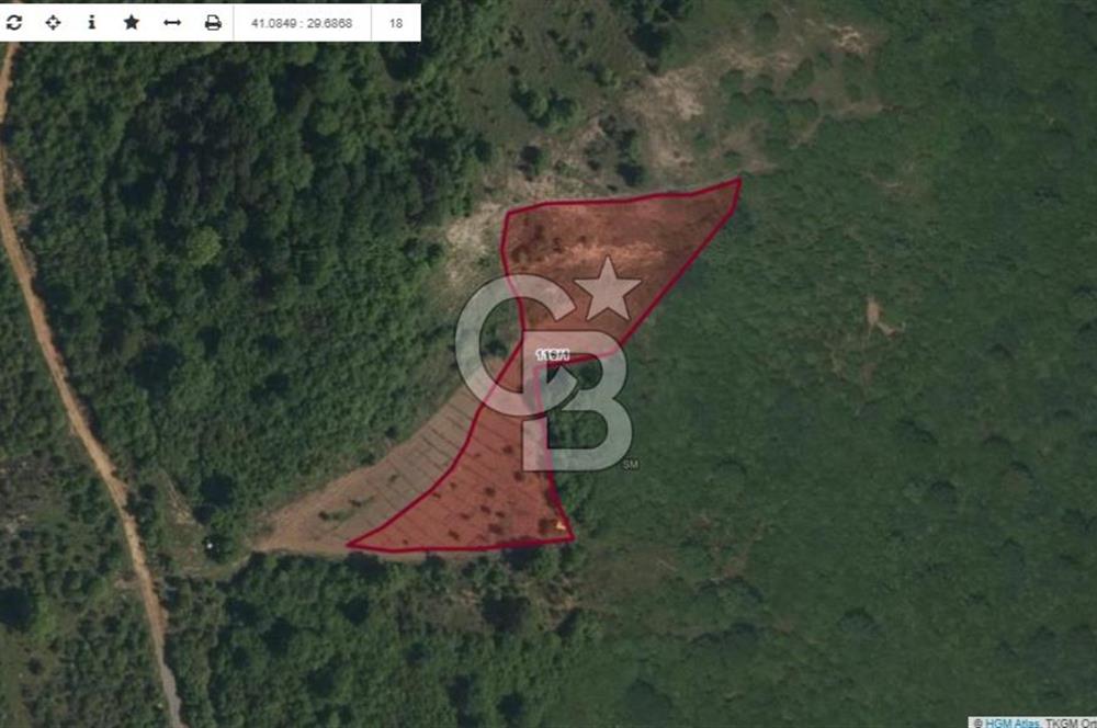 Şile Yaylalı'da Yatırımcıya Uygun Arsa Fırsatı