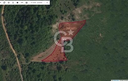 Şile Yaylalı'da Yatırımcıya Uygun Arsa Fırsatı